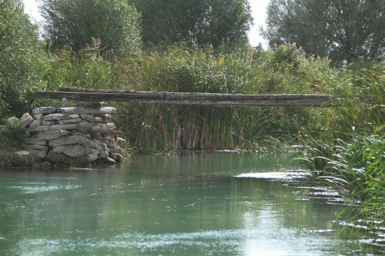 <p><strong>"Sakarya nehrimiz kuruyor, dikkat etmemiz gerekiyor"</strong><br />
Balıkdamı Kuş Cenneti’nin kurumaması için çeşitli önlemler alınması gerektiğini vurgulayan Başkan Osman Demirtaş, "Sulama şekillerinin mutlaka buralarda değiştirilmesi ve sularımızın mutlaka korunması gerekiyor. </p>
