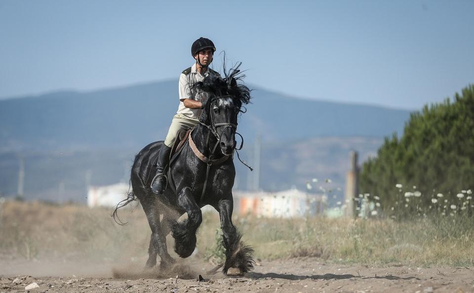 <p>Kapalı manejde uzman eğiticilerin gözetiminde çılbır, kulvar ve jimnastik eğitimlerine tabi tutulan atlara, açık ve kapalı alanda ulusal ve uluslararası başarılara sahip eğiticiler tarafından engel atlama eğitimleri veriliyor.</p>
<p> </p>