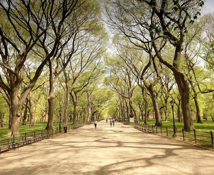 <p>Central Park (New York / ABD)</p>
