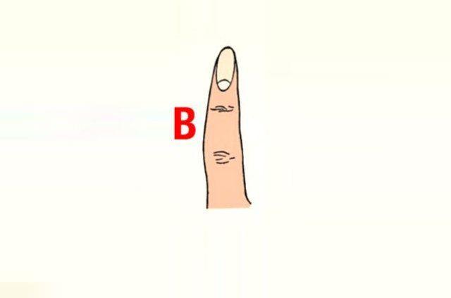 <p><strong>B tipi parmağa sahipseniz...</strong></p>
<p>B tipi parmak şekline sahipseniz biraz kuralsız ve oyuncusunuz. Yeni insanlarla tanıştığınızda çekingen bir yapıya sahipsiniz ve ilk yaklaşımı hep karşı taraftan bekliyorsunuz.</p>