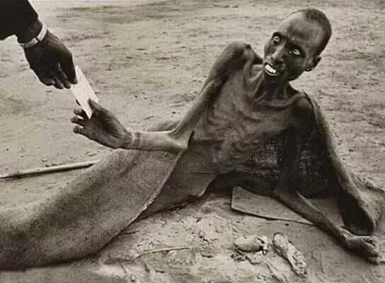 <p>Somali.</p>
