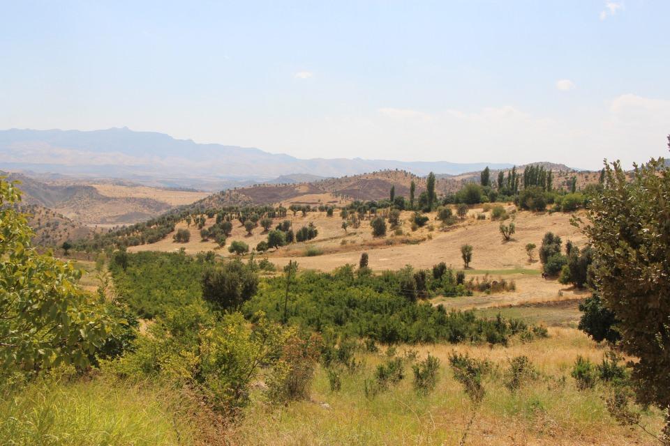 <p>Bahçelerimizin tel ve direkleri dağıtılmış, bahçelerimizin örgüleri kapatılmış sadece sonbahardaki ekim dönemini bekliyoruz. </p>
