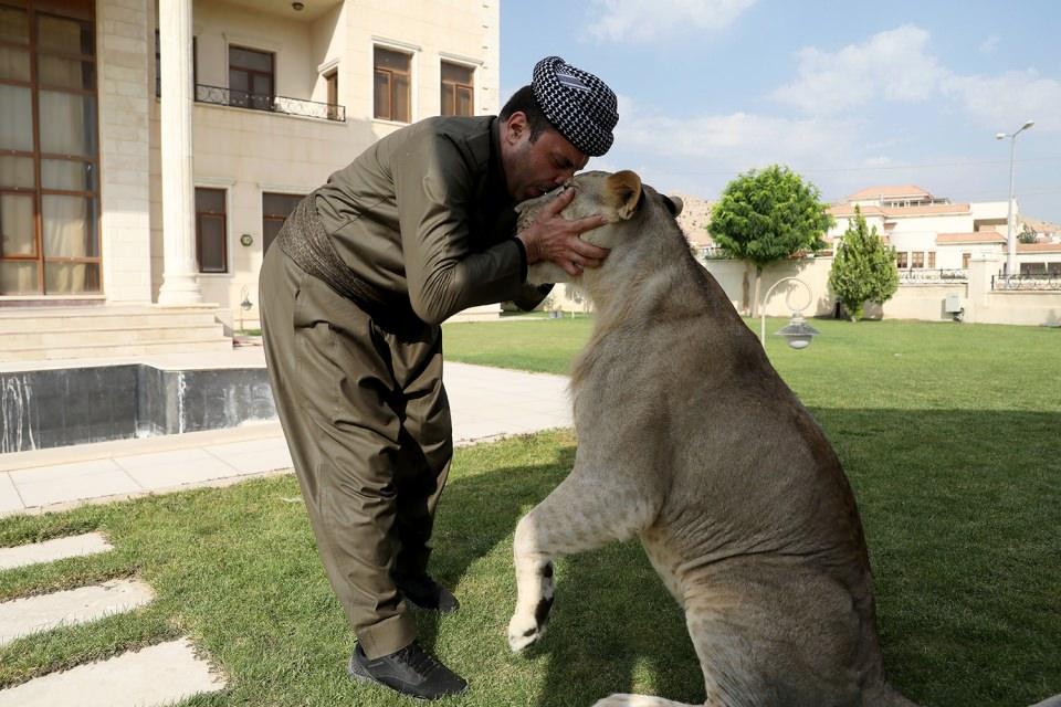 <p>Önüne kırmızı et koyuyoruz ancak yemiyor. Kırmızı et yememesi yırtıcı olmamasını gösteriyor." dedi. </p>