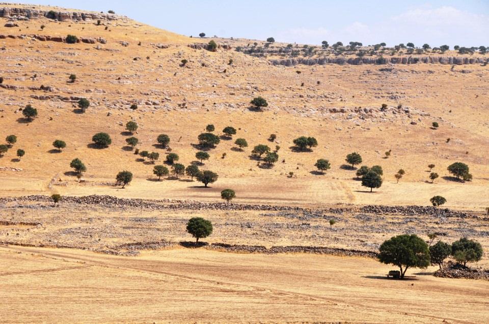 <p>Ülkemiz için bir zenginliktir. Bu kayıp şehrin ortaya çıkarılmasını bekliyoruz."</p>
