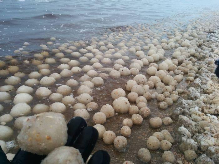 <p>Kar yağdıktan sonra suda oluşmuş binlerce kar topu</p>
<p> </p>