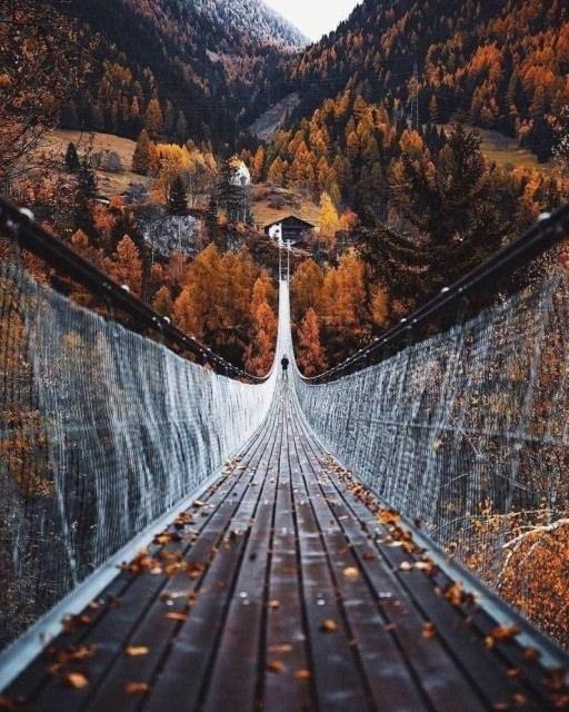 <p>Bakış açısına göre değişen, huzur veya ölüm köprüsü...</p>
<p> </p>