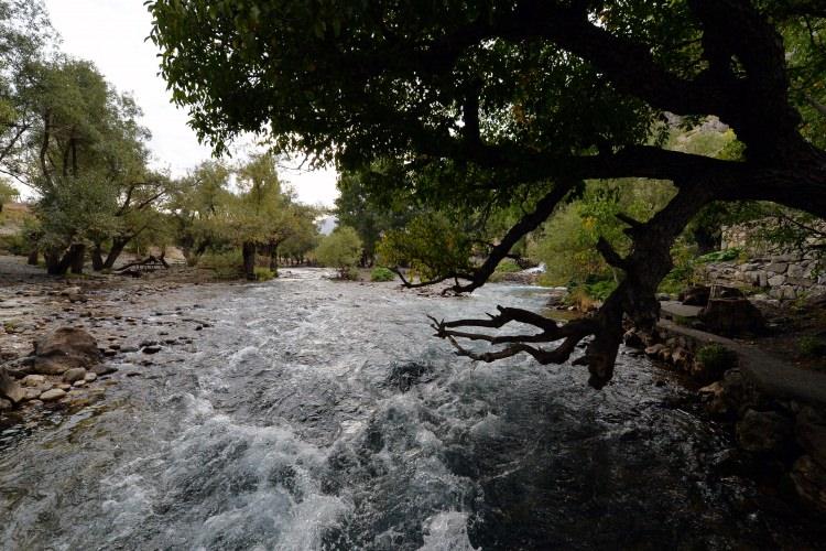 <p><strong>Bölgeye gelen ziyaretçilerin memnun ayrıldığını ifade eden Haskırış, şunları kaydetti:</strong></p>
<p>"Bundan birkaç yıl önce Tunceli ve turizm dediğimiz zaman herhalde birçok kişi için bu iki kelimenin bir araya gelmesi çok zordu. Devletin kararlı mücadelesi sonucu artık 2 yıldır Tunceli ve Ovacık bölgesi ciddi manada turist çekmeye başladı. Bunun asıl sebebi huzurdur. Huzur ikliminin bölgeye gelmesiyle birlikte insanlar Tunceli'ye, Ovacık'a ve Munzur Gözeleri'ne gönül ferahlığıyla gelmektedirler."</p>