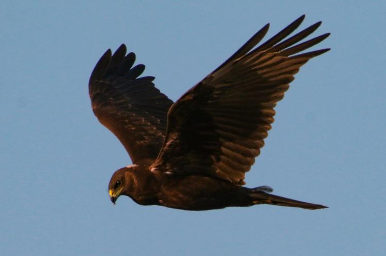 <p>Yurdun, Ermenistan, Nahçıvan ve İran sınırında yer alan milli park, flora ve fauna zenginliğinin yanı sıra görülmeye değer doğal güzelliğiyle de her mevsim ziyaretçilerin dikkatini çekiyor. </p>
<p> </p>