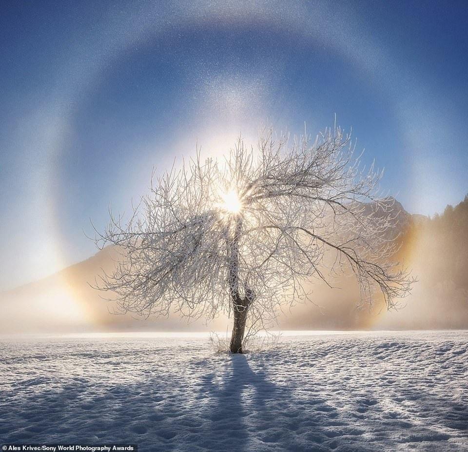 <p>Sony Dünya Fotoğraf Ödülleri için bu yıl da dünyanın dört bir yanından fotoğraflar gönderildi.</p>
<p> </p>