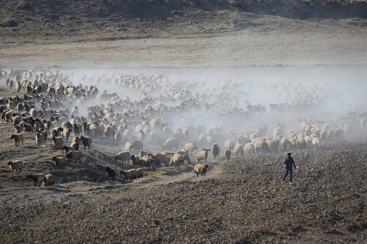 <p> Kurduğumuz taş ocaklarda yemek pişiriyoruz. Önümüzde daha 2 aylık bir yolculuk var. Mardin'in Midyat ilçesine gideceğiz. </p>