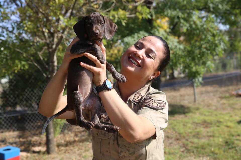 <p>Hayvanlara karşı sevgilerini ortaya koyan görevli personeller, kimi zaman yavru köpeklere biberonla süt içiriyor kimi zaman da eğitimdeki köpeklerle oyun oynuyor.</p>

<p> </p>
