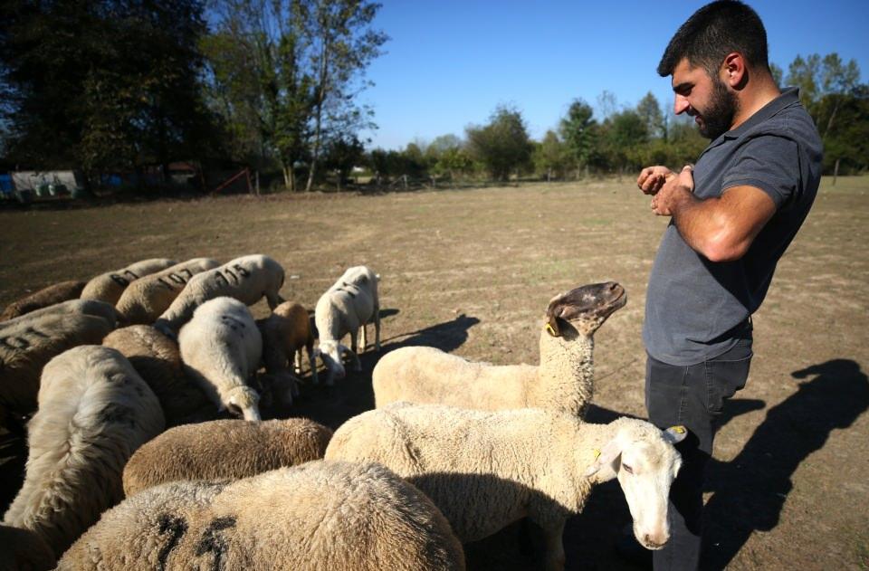 <p>"Hayvanın ne zaman doğduğu, doğum anındaki ağırlığı, günlük kilo artışları veri olarak tutuluyor. </p>
<p> </p>
