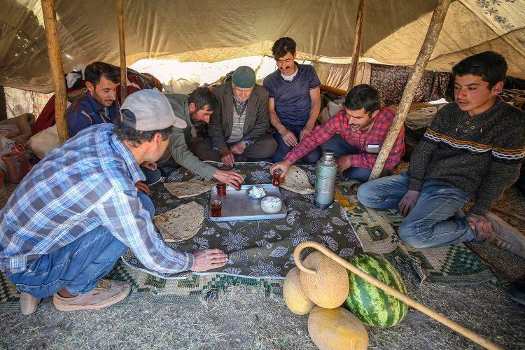 <p>Yaklaşık bin koyunla, 15 gündür yoldayız. Koyunları otlatarak ilerlediğimiz için 3 ayda Mardin'de olmayı hedefliyoruz." diye konuştu.</p>