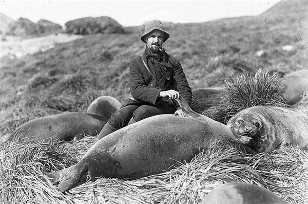 <p>Arthur Sawyer ve bir deniz fili, 1912</p>
<p> </p>