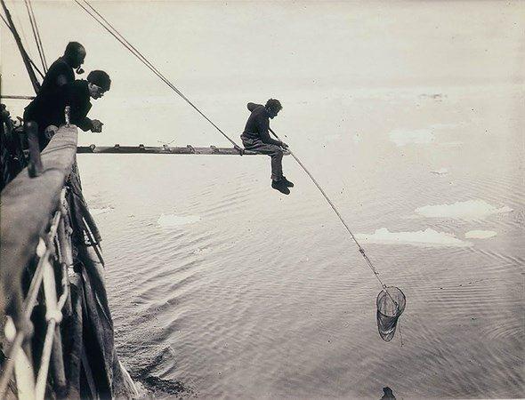 <p>Harold Hamilton mikro plankton avlarken, 1912</p>

<p> </p>
