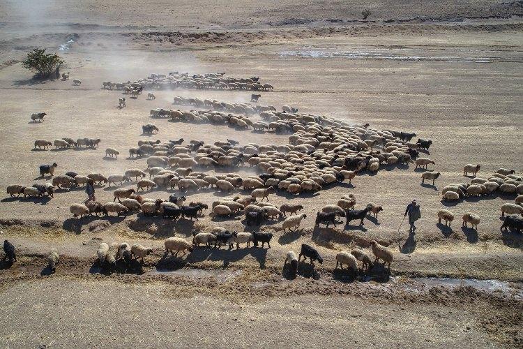 <p>"Gittiğimiz yerlere çadırımızı kuruyoruz, bir süre kaldıktan sonra tekrar toparlanıp yolumuza devam ediyoruz.</p>
<p> </p>