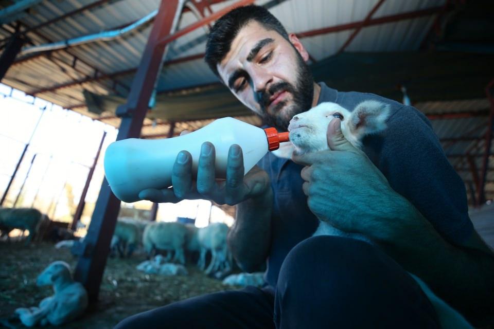 <p>Küçükakbulut, çoğu sistemi otomatiğe bağladığını dile getirerek, kamera sistemi, otomatik yemleme ve sulama olduğu için sabah erkenden kalkıp hayvanların yanına gitme durumu olmadığını aktardı. </p>
<p> </p>
