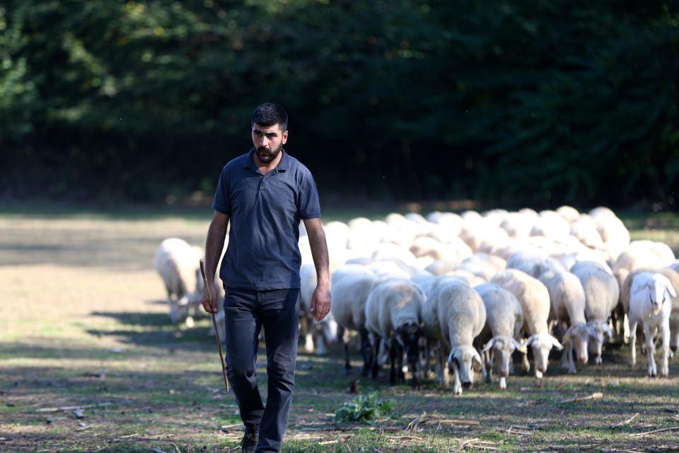 <p>Sabahları ıslık çalarak işine gittiğini anlatan Küçükakbulut, şöyle konuştu:</p>
<p>"Bu benim çocukluk hayalimdi, herkes 'ben doktor, öğretmen olacağım' derdi, ben hep veteriner olmak istedim. Veterinerlik nasip olmadı, sayısal bölümü seçmek istedim ama çevre baskısıyla eşit ağırlık bölümünü seçmek zorunda kaldım. Daha sonra ekonometri okudum. Pişman değilim, çok faydasını gördüm. Çevreme çok fazla kulak asmadım, 'ben hayallerimin peşinden koşacağım, sabahları ıslık çalarak gideceğim bir işim olsun' dedim hep. Hayallerimin peşinden koştum. Ne kadar şükretsem az, sevdiğim işi yapıyorum ve mutluyum. Mutlu oldukça kazandığım paranın da kıymetini biliyorum. Daha rahat bir yaşam sürüyorum."</p>