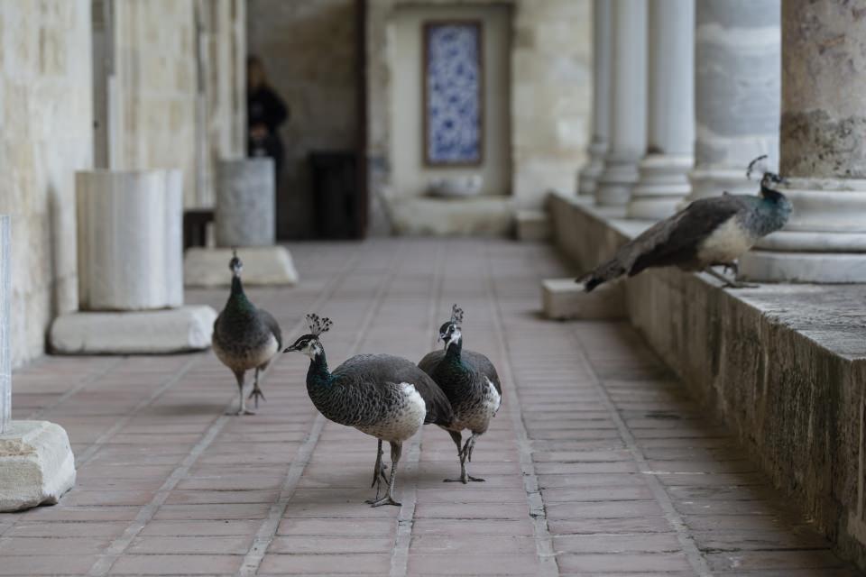 <div><strong>Akıl hastaları hayallerini duvara kazımışlar </strong></div>

<div> </div>

<div>Sultan II. Bayezid Külliyesi Sağlık Müzesi Müdürü Hakan Akıncı da 15. yüzyılda tedavi gören hastalar tarafından geçmişte duvarlara kazınan şekillerin de müzede görülebildiğini ifade etti.</div>
