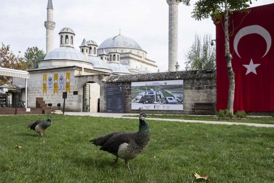 <div><strong>Üniversite olarak yüksek medeniyet sahibi Osmanlı kültürünü, insana verdiği değeri geleceğe aktarmaktan memnuniyet duyduklarını aktaran Tabakoğlu, şöyle devam etti:</strong></div>

<div> </div>

<div>"UNESCO Dünya Kültür Mirası Geçici Listesi'ndeki külliyede yer alan ve Avrupa En İyi Müze Ödülü, En İyi Sunum Ödülü sahibi müzeye, dünyanın pek çok yerinden ziyaretçi geliyor. </div>
