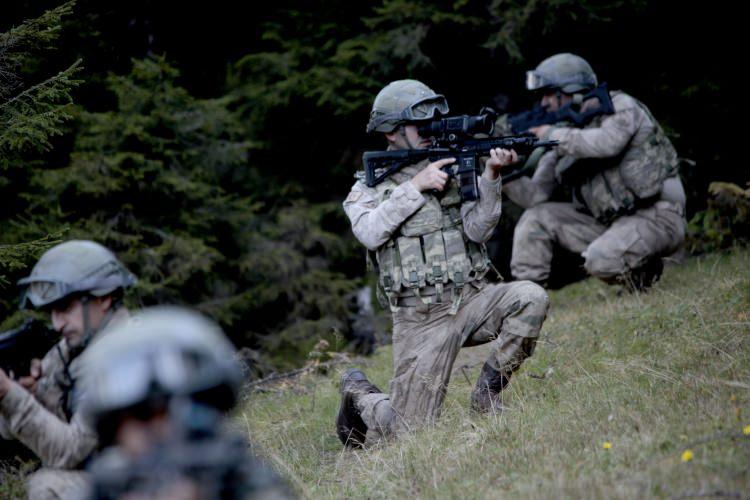 <p>Giresun Jandarma Bölge Komutanlığı koordinesinde Gümüşhane, Giresun, Trabzon, Tokat, Ordu, Bayburt ve Artvin illerinde devam eden operasyonlar, Erzincan ve Erzurum illerinin Doğu Karadeniz'e bağlantılı bölgelerine doğru genişletildi.</p>