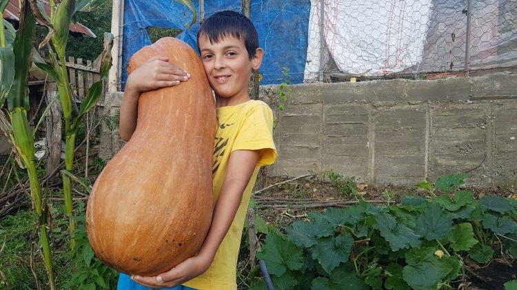 <p>Karabük’ün Yenice ilçesinde bir çiftçinin yetiştirdiği kabak, boyu ve kilosu ile üreticisini şaşırttı.</p>
