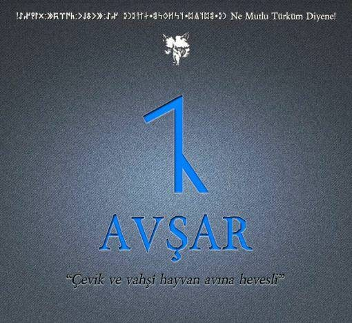<p><strong>9- AVŞAR ( AFŞAR )</strong></p>
<p>Afşar - Afyon-Dinar-Dombayova Avşar - Amasya-Ezine Afşar - Ankara-Bala Büyük Afşar - Ankara-Delice Küçük Afşar - Ankara-Delice Afşar - Ankara-Güdül Afşar - Ankara-Kalecik-Çandır Avşar (Burhaniye) - Ankara-Polatlı Afşar - Şereflikoçhisar-Ağaçören Avşar (Afşar) - Antalya-Elmalı_Akçay Avşar - Aydın-Söke KocaAvşar - Balıkesir-Merkez Çam Avşar - Balıkesir-Balya Afşar(Afşargıdırıç-Afşargidiriç) - Bolu-Merkez Afşartarakçı - Bolu-Gerede BirinciAfşar(afşarevvel) - Bolu-Gerede İkinci Afşar(afşarsanı) - " " Afşar - Bolu-Mengen-Gökçesu Afşar - Bursa-Yenişehir Afşar - Çankırı-Çerkeş Avşar - Çorum-Kargı-Hacıhamza Menteşe(Afşar) - Denizli-Honoz KarahüyükAfşarı - Denizli-Acıpayam KumAfşarı - " " Avşarözü(Hüseyinşeyh) - Erzincan-Refaiye YakaAvşar - Isparta-Eğridir-Aksu Afşar - Isparta-Gelendost Afşar - Kastamonu-İhsaniye(Araç) Afşargüney - Kastamonu-Küre Afşarimam - " " Afşar - Kastamonu-Taşköprü Avşarpotuklu - Kayseri-Pınarbaşı Avşarsöğütlü - Kayseri-Pınarbaşı-Pazarören Büyüksöbeçimen( Avşar) - Kayseri-Sarız BayAfşar - Konya-Beyşehir KüçükAfşar - " " Afşar - Konya-Çumra-Dinek Afşar - Konya-Hadim-Taşkent Afşarlı - Konya-Kadınhanı-Kurtasanlı Afşar - Kütahya-Emet-Pazarören(örencik) Afşar(Kürtleravşarı) - Kahramanmaraş-Merkez Avşarlı - Kahramanmaraş-Türkoğlu Avşar - Mugla-Milas Afşar - Manisa-Sarıgöl Avşar - Manisa-Gördes-Köprübaşı Avşar - Manisa-Turgutlu Avşarcık - Sivas-Divriği Avşar - Sivas-İmranlı-Karacaören Avşar - Sivas-Suşehri-Akıncılar Avşarören(Avşarveran) - Sivas-Kangal-(Akpınar) Avşar - Sivas-Zara-Şerefiye Avşar(Apşur) - Tekirdağ-Barboros Avşarağzı - Tokat-Çamlıbel Avşaralanı - Yozgat-Çayıralan Afşar - Zonguldak-Eflani</p>