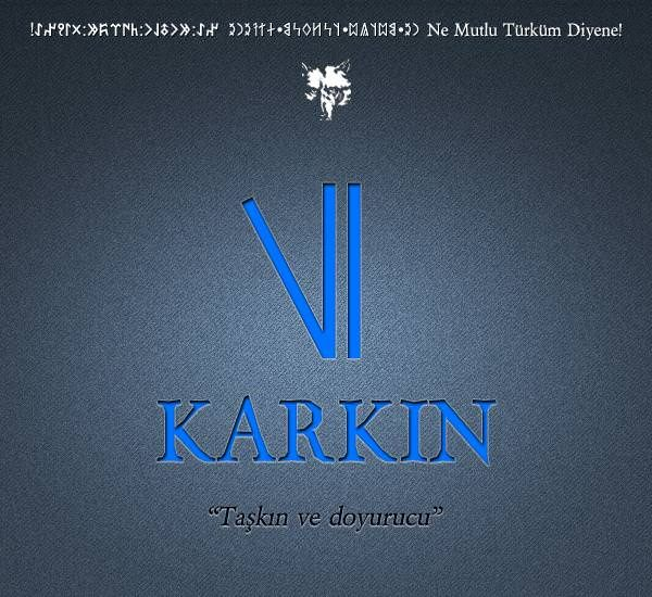 <p><strong>12- KARGIN</strong></p>
<p>Kargın - Afyon-Sandıklı Kargın - Ankara-Çubuk Kargın - Ankara-Kalecik-Çardır Kargın - Kırıkkale-Balışeyh(Balışık) Kargın - Antalya-Korkuteli Kargın - Balıkesir-Bigadiç Kargın - Çorum-Alaca Derekargın - Çorum-İskilip Kargın - Erzincan-Tercan Kargın - Eskişehir-Merkez Karkın - Eskişehir-Sivrihisar Kargın - Kastamonu-Tosya Kargın-Kızıközü - Kırşehir-Kaman Kargın-Meşe - " - " Kargın-Selimağa - " - " Kargın-Yenice - " - Mucur Karkın - Konya-Çumra Dedekarkın - Malatya-Yazıhan Kargın - Manisa-Turgutlu-Ahmetli Kargınışıklar - Manisa-Demirci-Karbasan Kapugargın(Kargınkürü) - Muğla-Köycegiz-Ortaca Kargın - Aksaray-Taşpınar Kargın - Sivas-Koyulhisar Kargın - Sivas-Yıldızeli-Çırçır Kargın (Demenikargın) - Tokat-Çamlıbel Kargıncık (Karkıncık) - " " Kargın - Turhal</p>