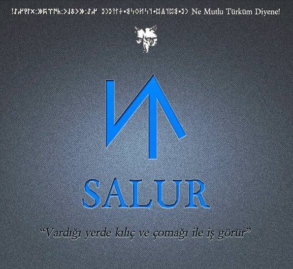 <p><strong>17- SALUR</strong></p>
<p>Salur - Antalya-Elmalı Salur - Antalya-Kumluca Salur - Antalya-Manavgat Salur - Bolu-Gerede Salur - Çankırı-Orta Salur - Çorum-Seydim Salur - ErzincanRefahiye-Akarsu Salur - Isparta-Şarkikaraağaç Salur - Kayseri-Güneşli Salur - Karaman Salur - Yozgat-Sorgun Salur - Manisa-Gördes Salurçiftliği - " " Salur - Samsun-Ladik Salur - Tokat-Artova Salur - Tokat-Zile-Boztepe</p>