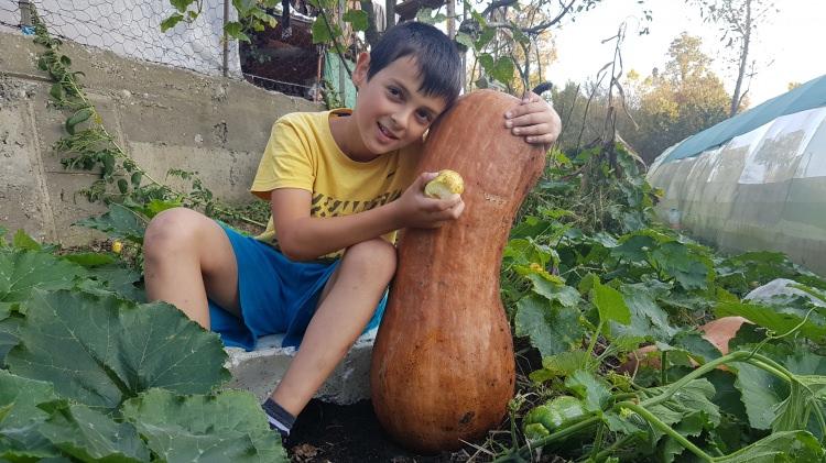 <p>İlçeye bağlı Şirinköy köyünde yaşayan Naciye Bostancı, 15 yıldır hayvancılık ve çiftçilik ile uğraşıyor. Her yıl bahçesinde biber, domates, patlıcan, mısır, fasulye yetiştiren Bostancı, bu yıl kabak da yetiştirmek için tohum ekti.</p>

<p> </p>
