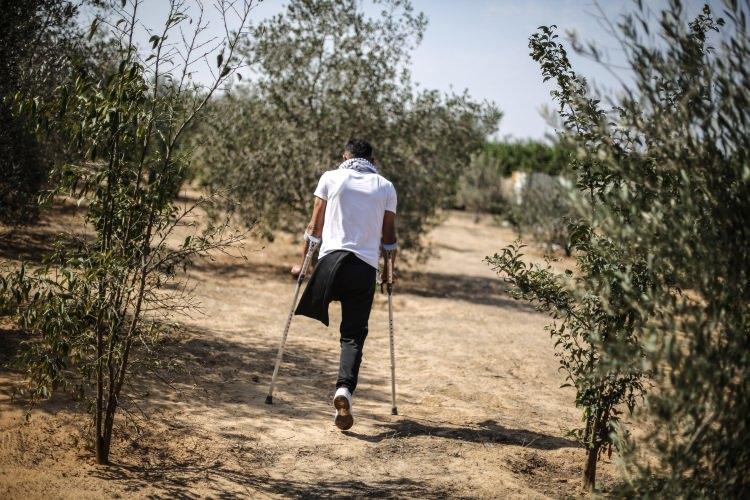 <p>Abluka altındaki Gazze Şeridi'nin sınır bölgelerinde geçen yıl mart ayından bu yana devam eden Büyük Dönüş Yürüyüşü gösterileri sırasında İsrail askerlerinin açtığı ateş sonucu sakat kalan Filistinliler zeytin toplama etkinliğinde buluştu.</p>

