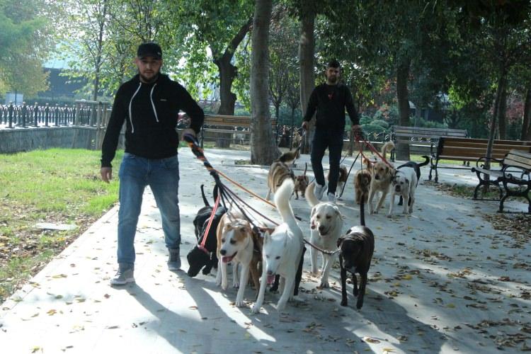 <p>Dört yıldır köpek gezdiriciliği yapan Karavılkov, “Grafik tasarımcısıydım. Daha sonra mesleği bıraktım. Hayvanlarla daha iyi anlaştığımı gördüm. Bu işe de “Doğru bilgiye nasıl ulaşabilirim? Bu işin mantığı nedir? Hayvanların özü nedir?” diyerek başladım. Kendimi geliştirdim. Bu işte iyi olduğumu görünce grafik tasarımcılığını bıraktım. Bu işi yapmaya başladım.</p>