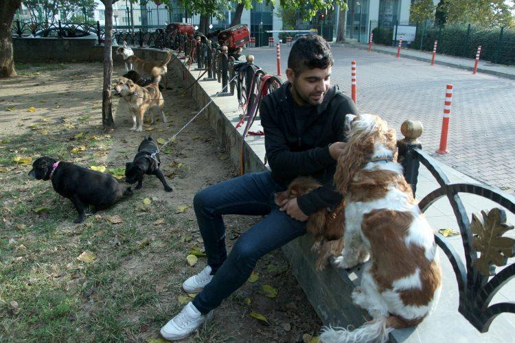 <p>Bu duygusal açığı hayvanlarla kapatmaya çalışıyorlar. Fakat burada yapılan yanlış, biz köpekleri sadece sevmek için alıyoruz, onların ihtiyaçlarını düşünmüyoruz. Aslında olması gereken köpek ve insanın ortak bir yaşam kurması. Ama direkt köpekleri hayatımıza adapte etmeye çalışıyoruz ve sorunlar çıkıyor. Bu yüzden de dolaştırıcılara ihtiyaç duyuyorlar” dedi.</p>