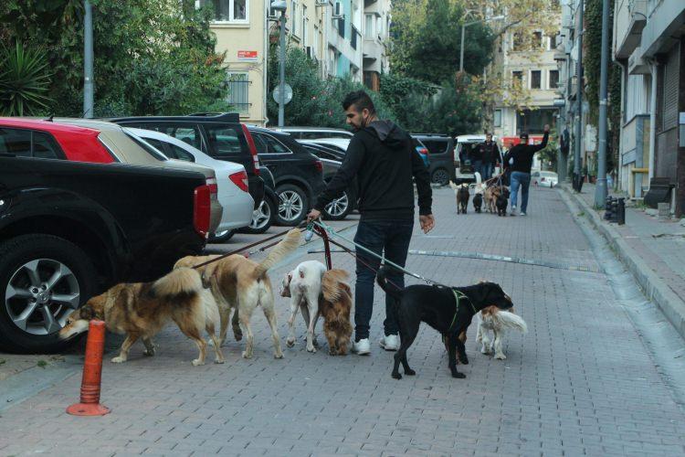 <p>Köpekleri çok seviyorum o yüzden bu işi yapıyorum. Sabah ve akşam ikişer saat köpekleri gezdiriyorum sonra da tek tek hepsini evlerine bırakıyorum. Köpekler bize alıştı hiçbir zorluk yaşamıyorum. Şu an 3 arkadaşız ve 35 köpeği gezdiriyoruz” dedi.</p>