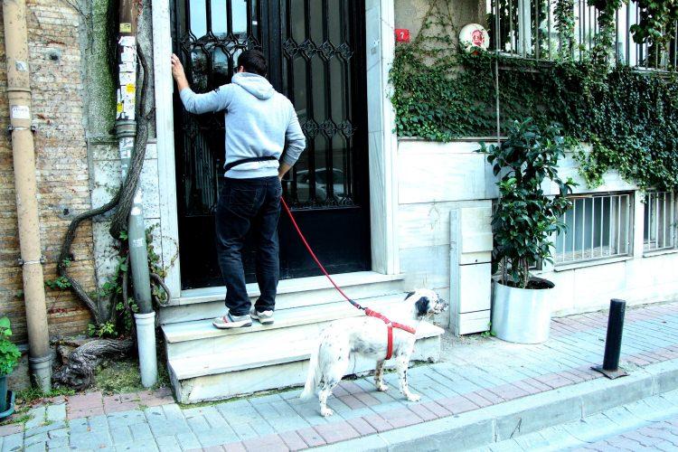 <p>Bir başka köpek gezdiricisi Gamze Pekçeçınar ise dört yıldır faal olarak bu mesleği yaptığını ve geçimini bu şekilde sağladığını dile getirdi. Pekçeçınar, “Hayvanları çok seviyorum. Kendi köpeklerim de var. Filmlerde köpek gezdirenleri görürdüm “Ne güzel iş” derdim. Kedi köpek oteli olan bir arkadaşım bana yönlendirdi, bu şekilde başladım yaklaşık dört buçuk yıldır da bu işi yapıyorum. İlkokula başladığımda köpek alındı bana. Köpeklerin ihtiyaçlarını, psikolojilerini iyi biliyorum” dedi.</p>

<p> </p>
