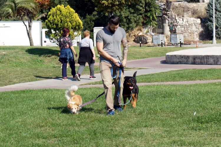<p>Daha önce başka işlerle ilgilendim ama bu işe yönelince başka işleri bıraktım. Geçimimi bununla sağlıyorum”</p>
<p> </p>