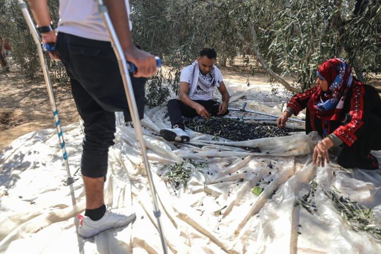 <p>İnsan hakları merkezlerinin raporlarına göre, İsrail askerleri Mart 2018'den bu yana düzenlenen gösterilerde 213 Filistinliyi öldürdü, 18 bin 460 Filistinliyi yaraladı. </p>

<p> </p>
