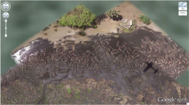 <p>27. Hipopotamların banyo yaptığı büyük havza (6°53’53.00″ S 31°11’15.40″ E) Katavi National Park, Tanzania</p>
