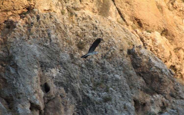 <p>Elazığ inanç turizmi, göl turizmi, kayak turizmi açısından, hem de jeotermal turizm açısından çok zengin bir il, bölgede de önemli bir destinasyon. Bunu da eklediğimizde bir puzzle’nin parçalarını tamamlamış olduk. Dışarıdan gelen turistin her türlü aktiviteyi tadabileceği bir lokasyon haline geldi. Bundan dolayı valimize teşekkür ediyoruz” diye konuştu.</p>
<p> </p>