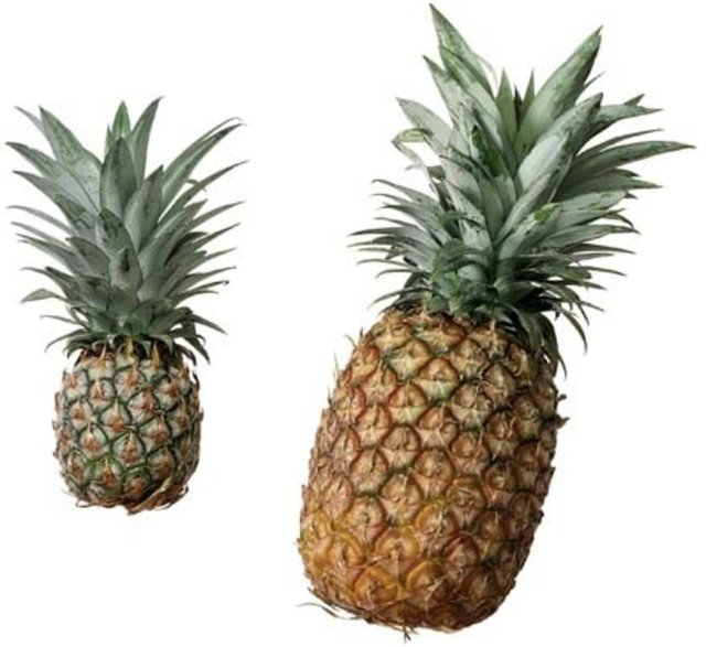 <p>Ananas yaprağı</p>

<p> </p>
