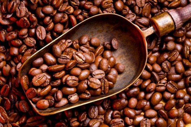 <p>Kahve çekirdeği</p>

<p> </p>
