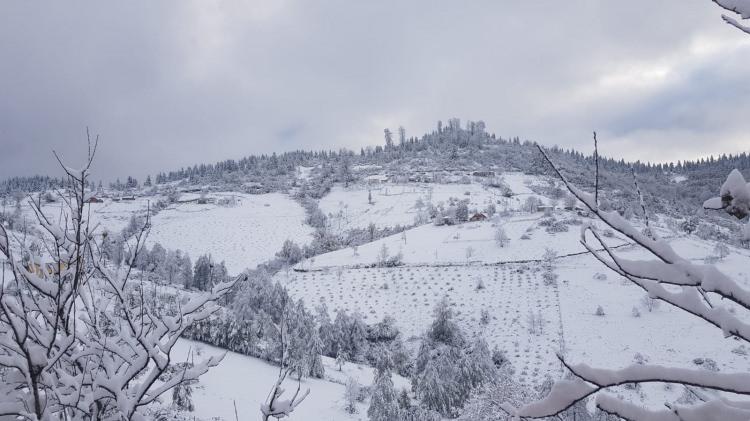 <p>Yağan kar nedeniyle hayvanların yiyecek bulması zorlaşırken, çobanlar sürüleriyle yaylalardan dönmeye başladı.</p>
