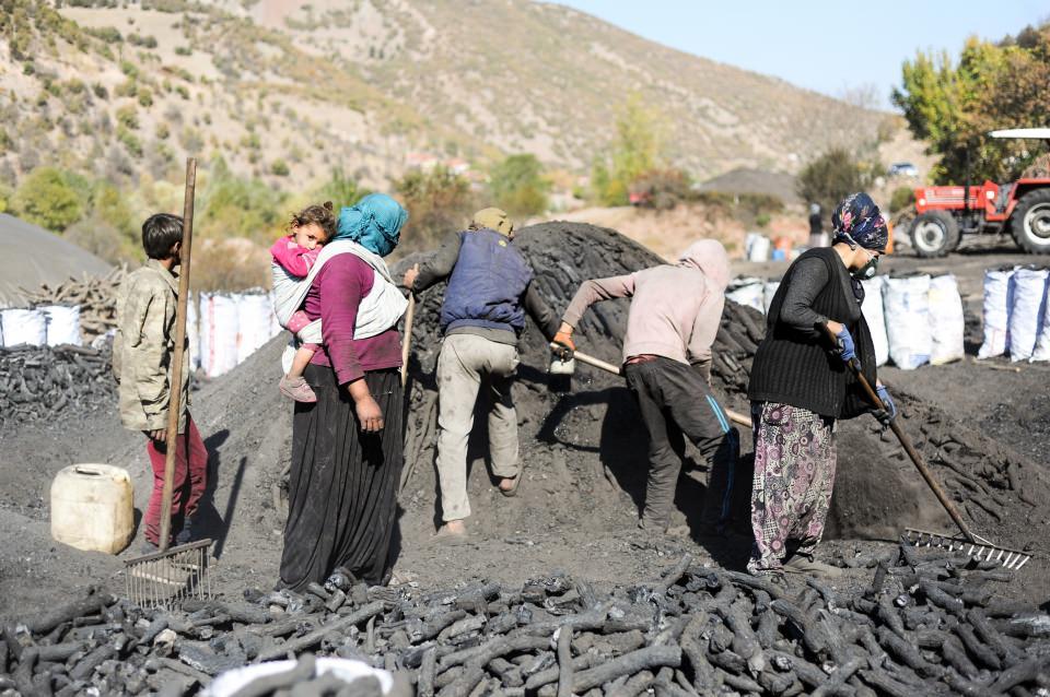 <p>Ormanın güzel olmasına bağlı. Kar yağınca bu iş olmuyor zaten. Sen ormandan odun çekiyorsun ama yollar berbat oluyor. Biz bu işe ilk başlarken; müteahhit bize ormanı tutuyor, biz gelip kesimi, budamasını yapıyoruz. Gerektiği yerlerde odunları atıyoruz, gerektiği yerlerde yol vuruyoruz. Traktörlerle bu işi yapıyoruz, buraya getirip çatıyoruz, topraklıyoruz. Sonrasında ateşe veriyoruz. 15-20 gün ateşte kalıyor.</p>
