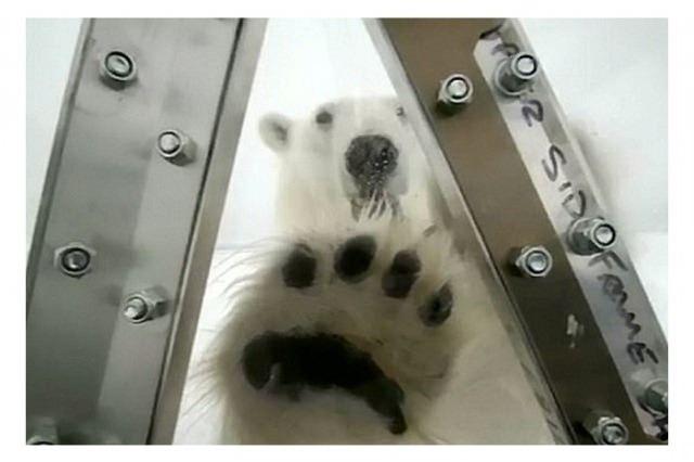 <p>İşte kameralara yansıyan dehşet veren o anlar...</p>
