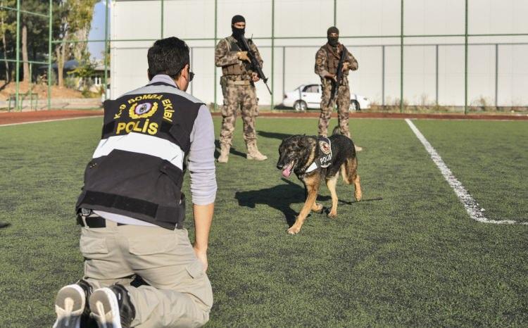 <p>Özellikle Doğu ve Güneydoğu Anadolu bölgelerinde terör örgütüne yönelik düzenlenen meskun mahal operasyonlarında görev alan dedektör köpek, çok sayıda patlayıcının bulunup imha edilmesine katkı sağladı.</p>
