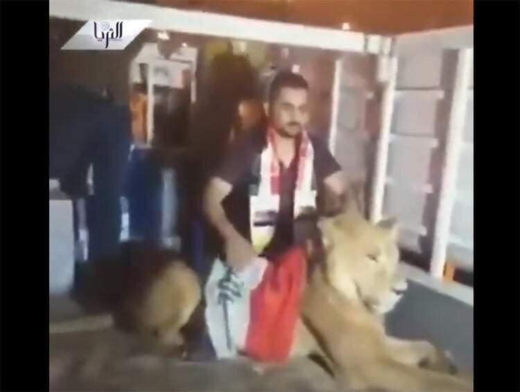 <p>Öfkeli protestocular, güneydeki Nasiriye kentinde yerel yöneticilerin evlerini ateşe verip yaktı. En çarpıcı görüntüler ise, ülkenin orta kesimindeki Babil'den geldi.</p>
<p> </p>
