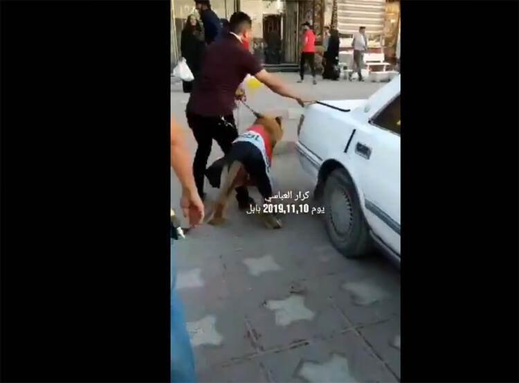 <p>Sırtına Irak bayrağı örtülen vahşi hayvan zaptedilmekte zorlandı. Aslanı gösteren video kaydı, sosyal medyada hızla yayıldı ve kısa sürede gündem oldu.</p>
<p> </p>