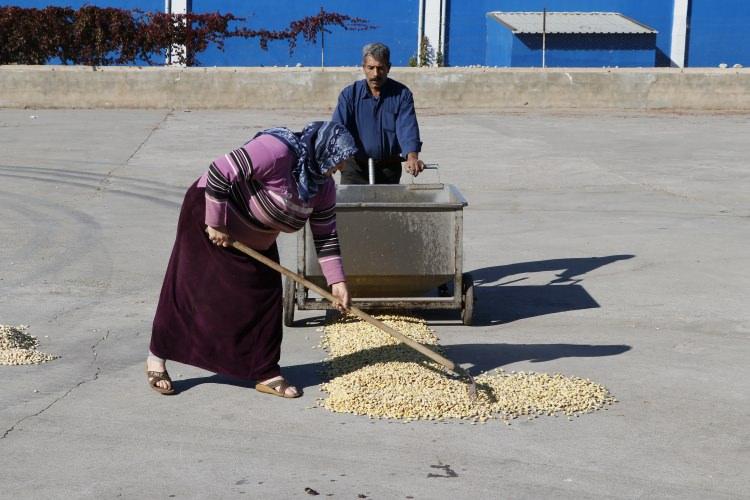 <p> İnşallah önümüzdeki yıl ihracat miktarımız daha da artacak. Şanlıurfa, Türkiye'de en fazla fıstık üretiminin olduğu şehir. Ürettiği fıstıkları hem yurt içine hem de yurt dışına satıyor." diye konuştu.</p>
