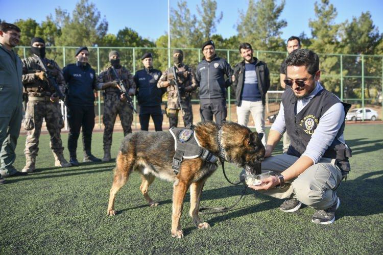 <p>Ona olan sevgisini asla kaybetmeyeceğini ifade eden Çelik, duygularını şöyle dile getirdi:</p>