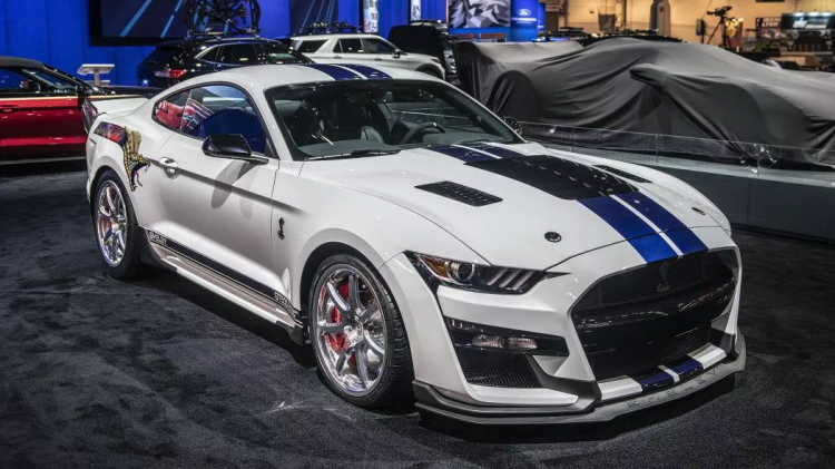 <p><strong>Ford Shelby GT500 Dragon Snake</strong></p>